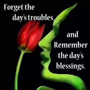 Meet your Posher, Bridget